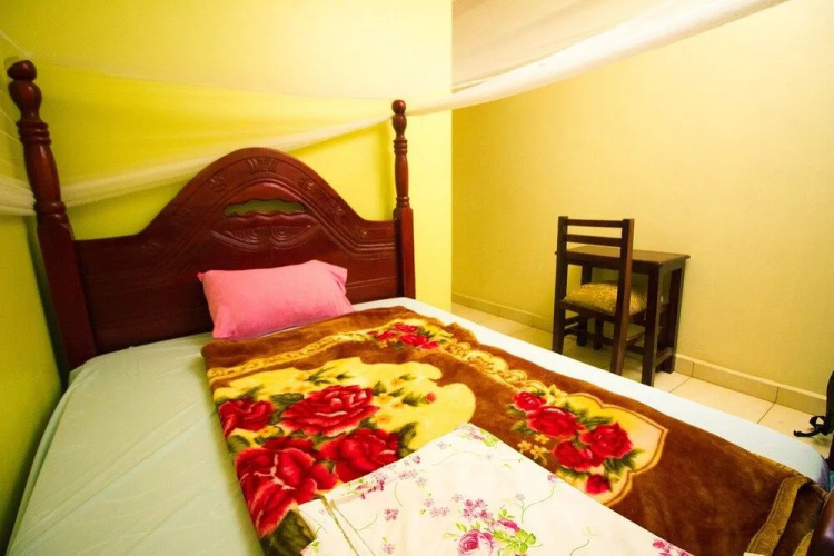 Palace View Guest House