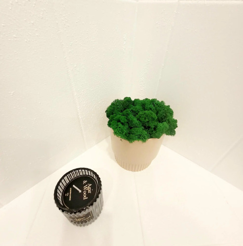 Фотография номера квартиры Апартаменты Видовые у Каменного моста