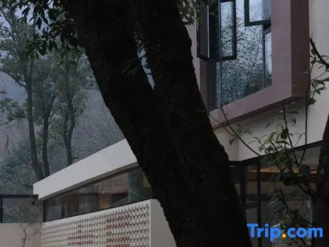Shanjule Homestay