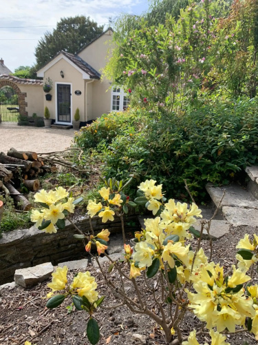 Tolpuddle Hideaway, Tolpuddle, Dorset