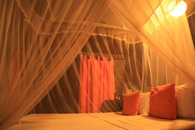 Mahoora - Yala by Eco Team