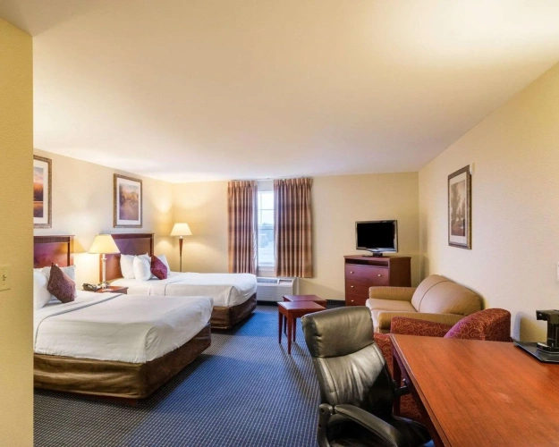 Quadruple Suite