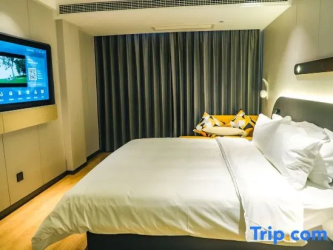 Standard Quadruple Suite