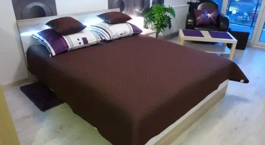 SAS Apartment Santi