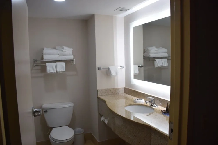 1 Bedroom Suite