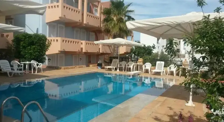 Toulipa 2