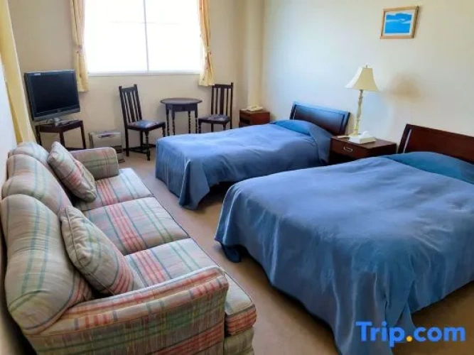 Standard Twin room with ocean view