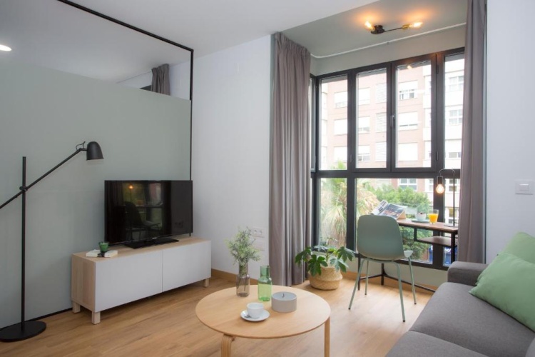 1 Bedroom Apartment