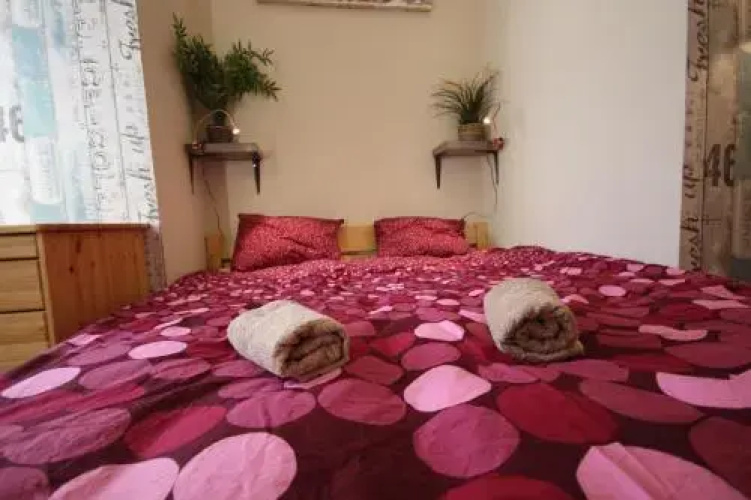 Acacia Hostel