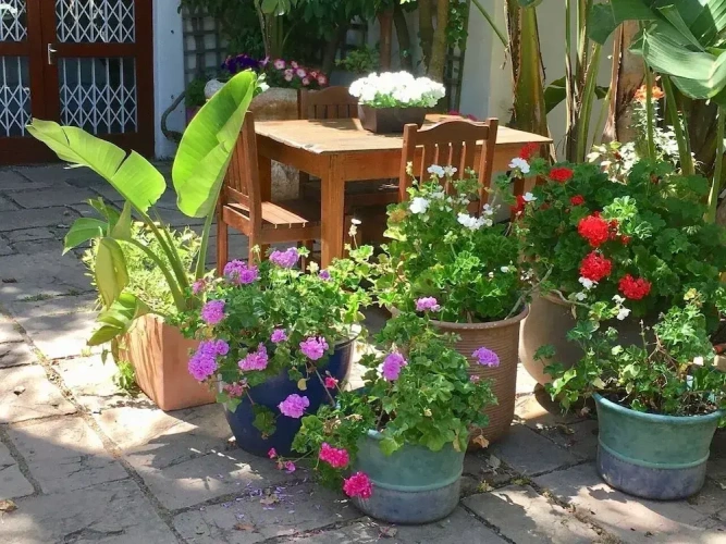 Comfort Double room with courtyard view