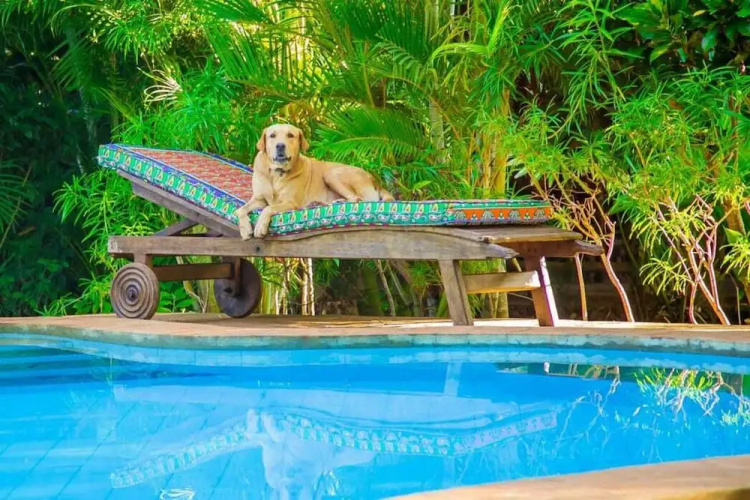 3 Bed Cottage Sleeps 6- Pool, Chef Option, Parking