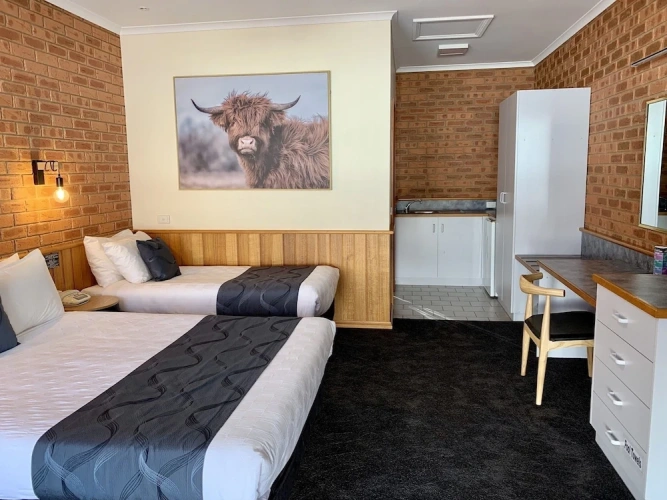 Standard Twin room