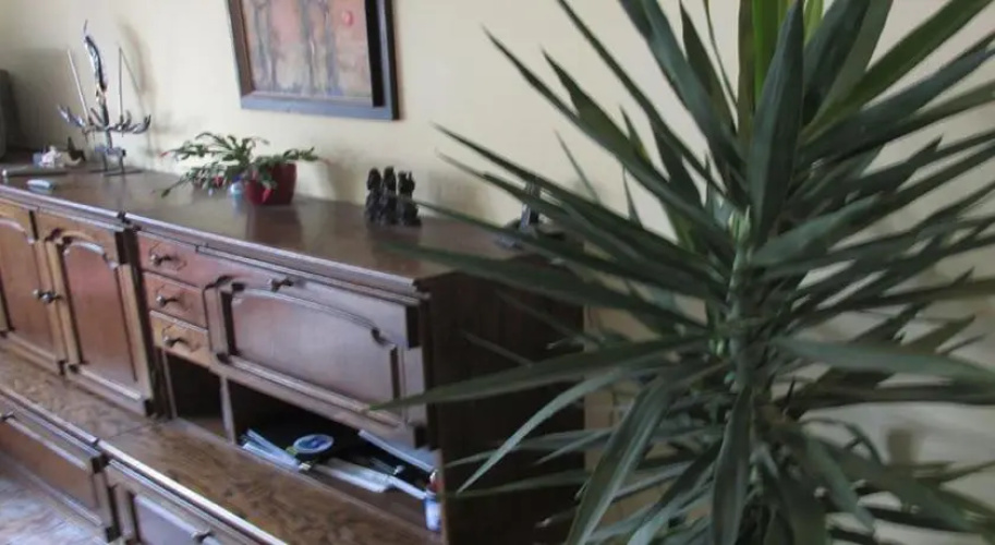 Bazis Guesthouse