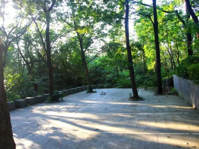Outside