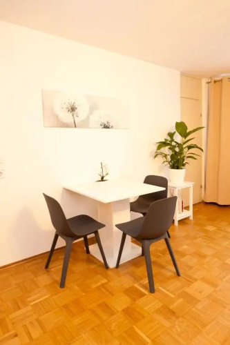 Classic Apartment 2
