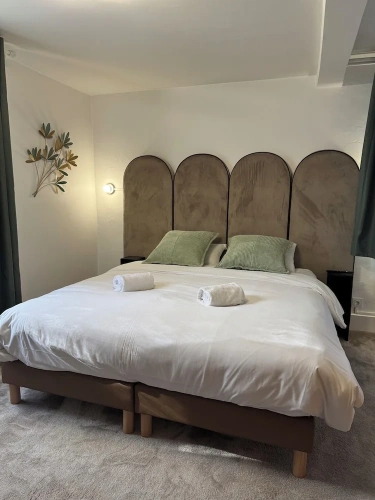 Superior Double room with garden view