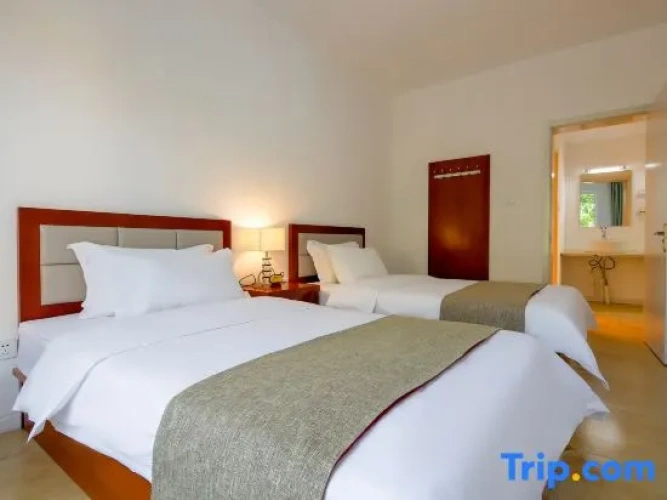 1 Bedroom Standard room