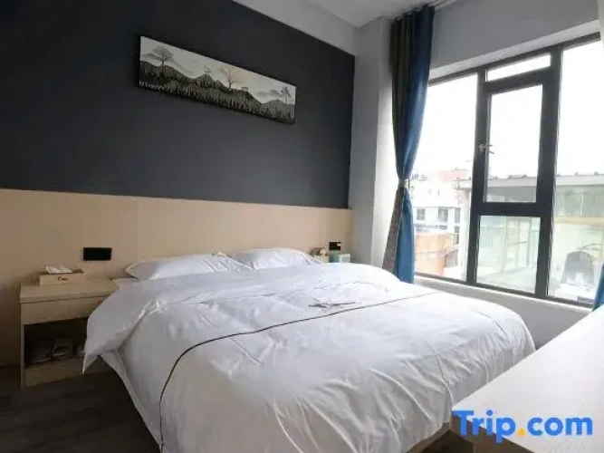 Comfort Suite