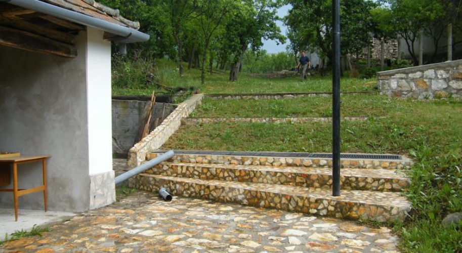Tulipanzió Arka