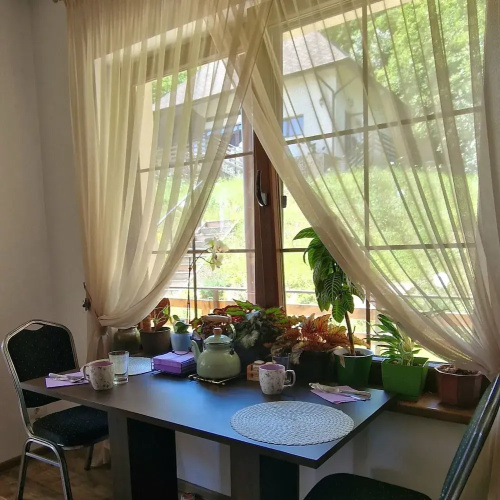 Provence Suceava