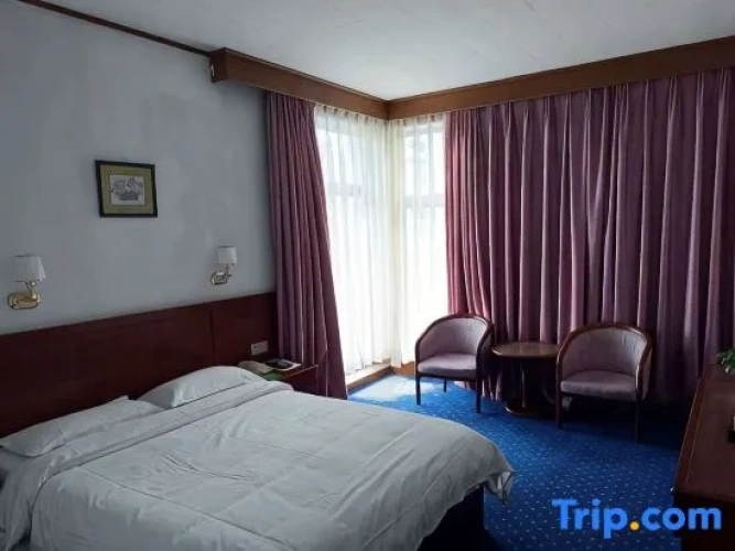 Standard Double room with street view
