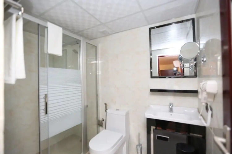 Standard Double room with city view