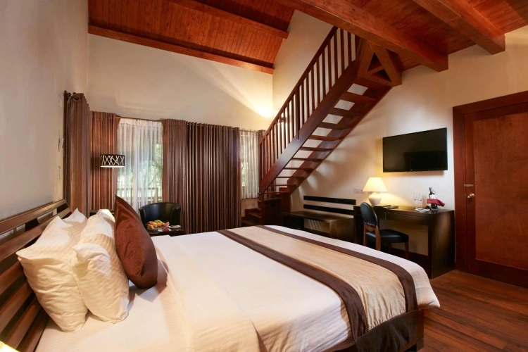 Standard Duplex room with view