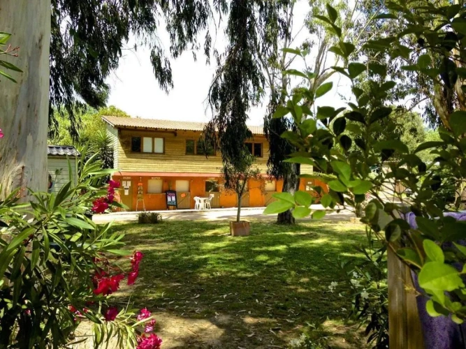3 Bedrooms Apartment