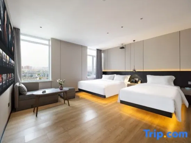 Premium Twin room with city view