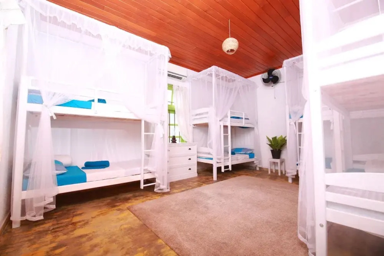 Bluefin Adventure - Hostel