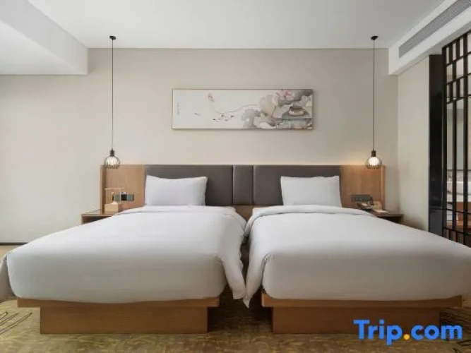Standard Twin room with city view