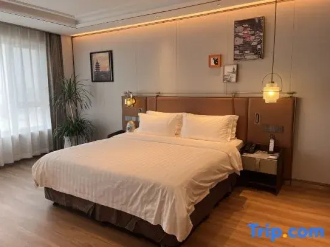 Executive Double Suite