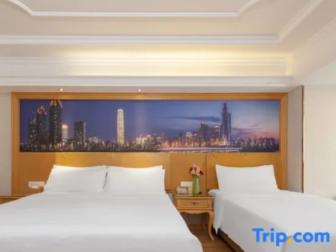 Standard Twin Family room