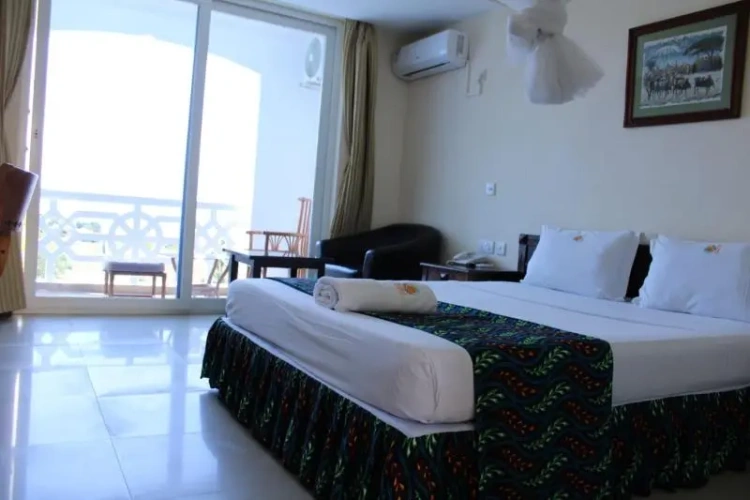 Standard Double room with balcony and with view