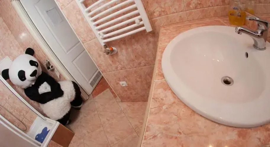 Panda Hostel