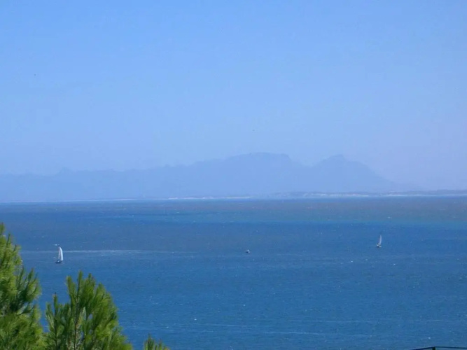 Whaleviews