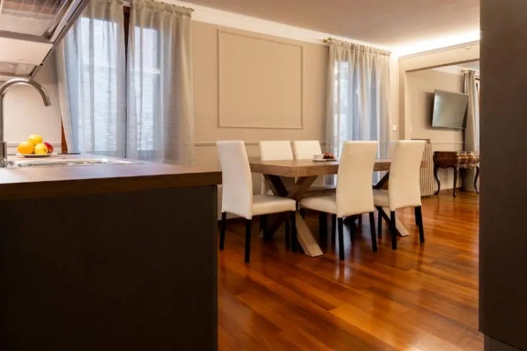 Luxury Apartment