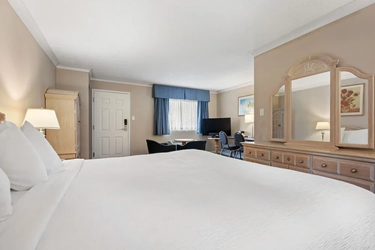 Deluxe Double Suite