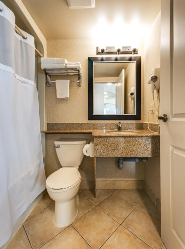 Monte Carlo Inn & Suites Downtown Markham photo 11
