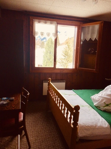 Superior Single room with mountain view