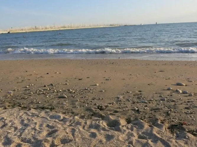 VILLA VERDE La Rochelle