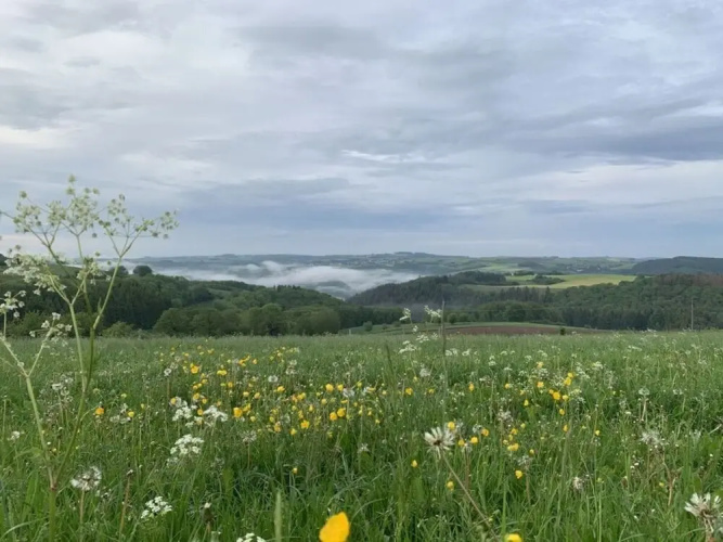Eifel Chalet Holiday Apartment