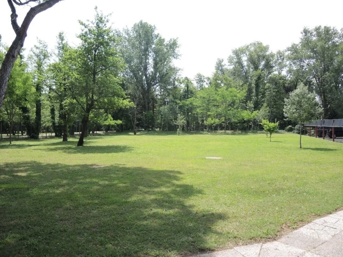 1 Bedroom Apartment with balcony