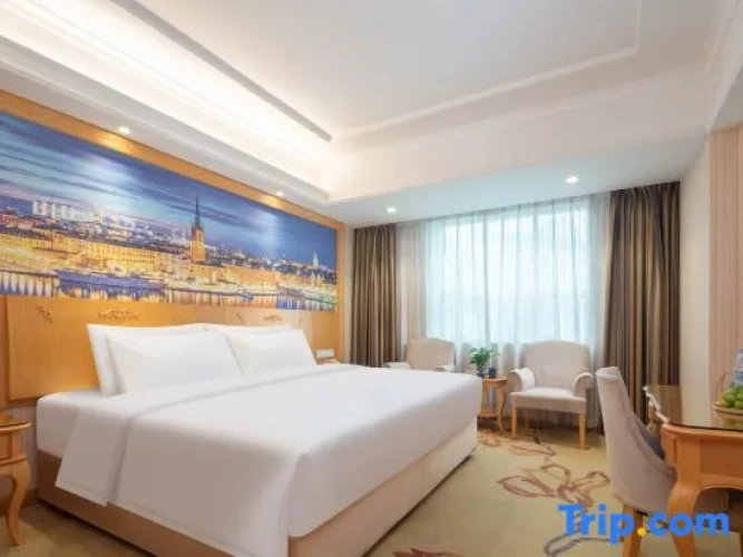 Business Twin room with city view