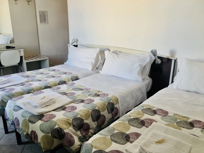 The Beehive Hostel