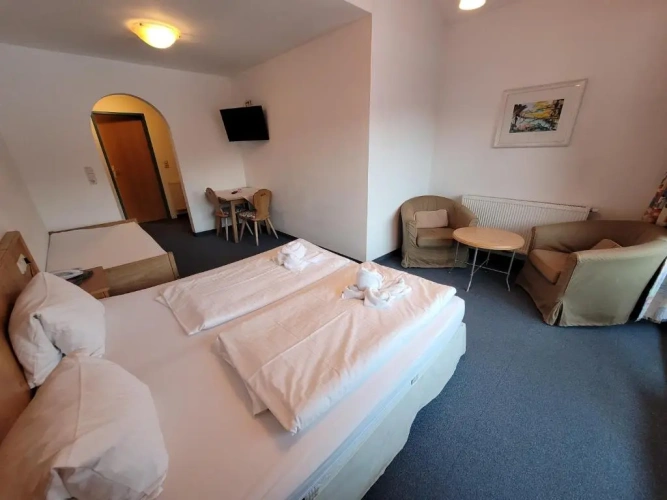 Standard Double room with balcony and with mountain view