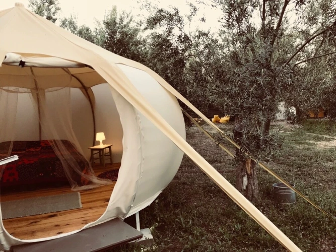 Tent