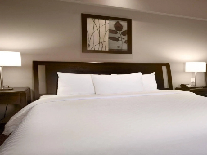 Le Finlandais Spa & Hôtel photo 7