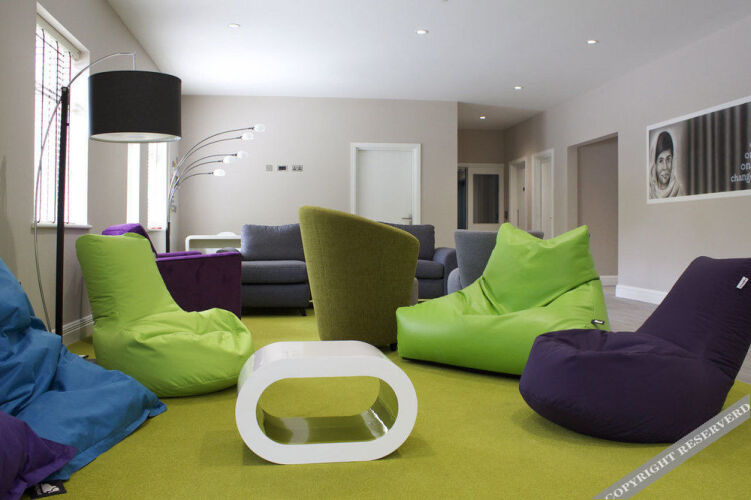 The International Over view