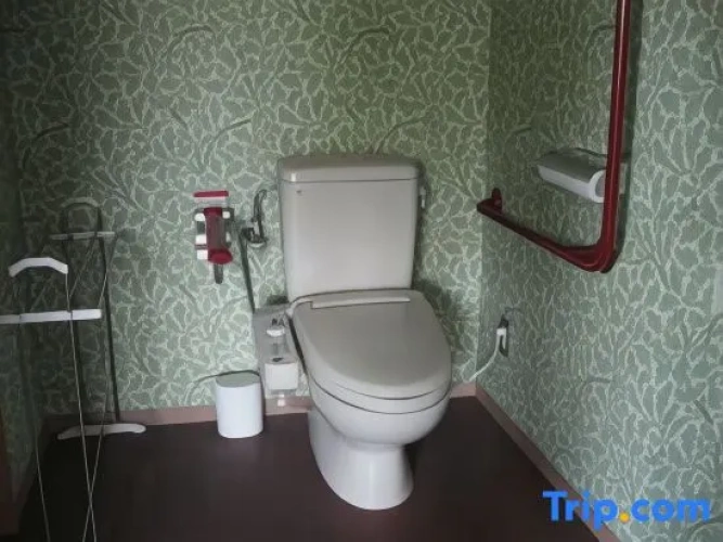 Deluxe Twin room with mountain view
